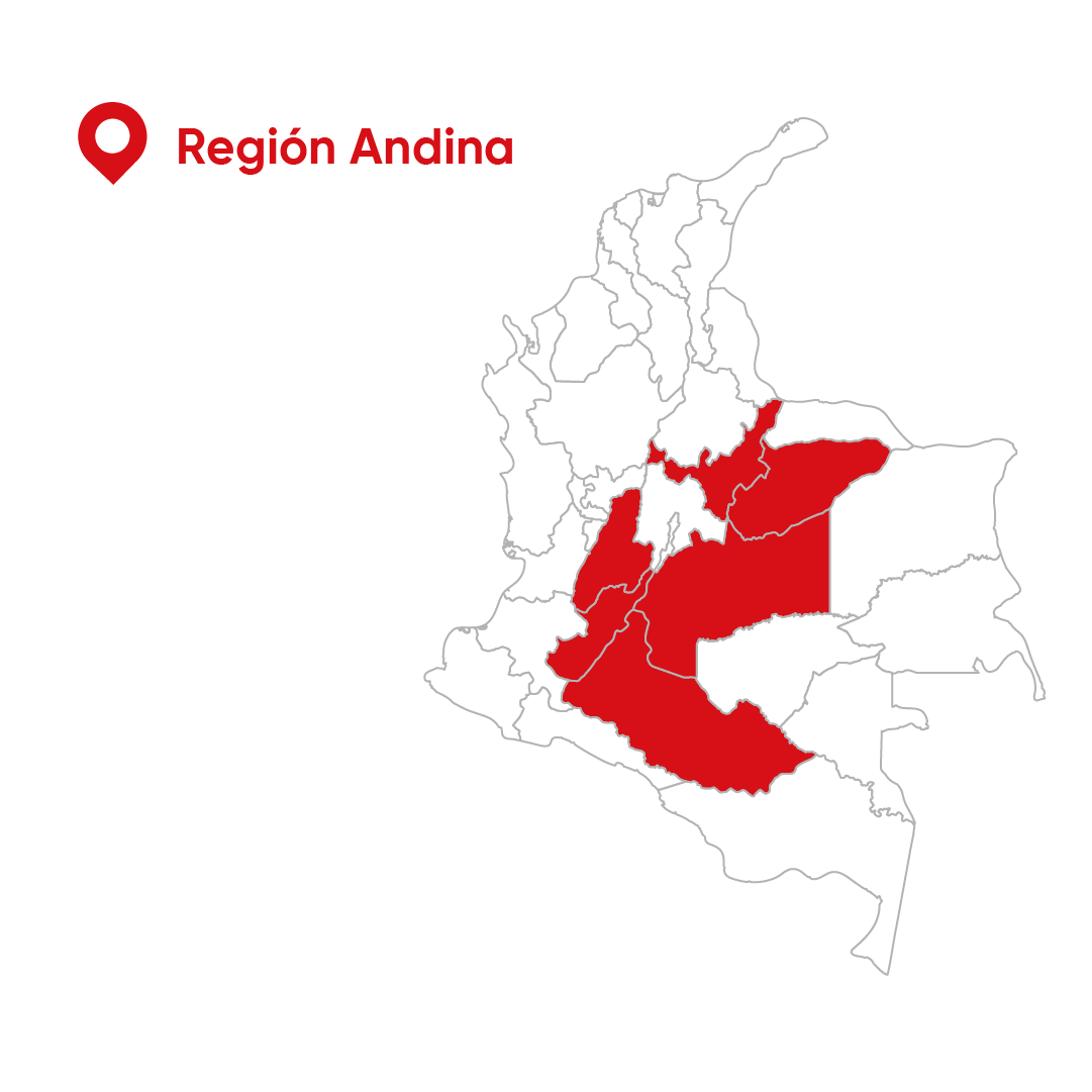 Región Andina-Diseñó - Actualización Landing puntos de servicios tecnicos especializados